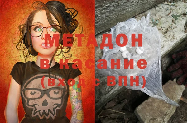 прущие грибы Верея